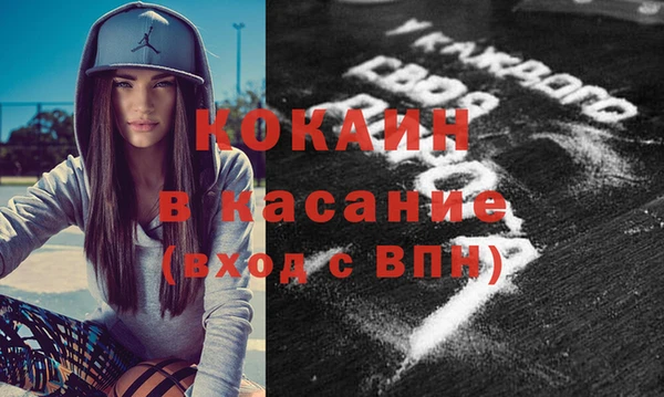 индика Краснотурьинск