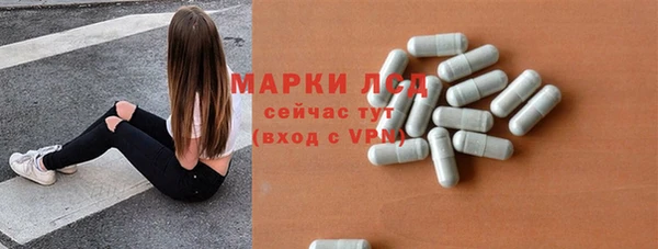 индика Краснотурьинск