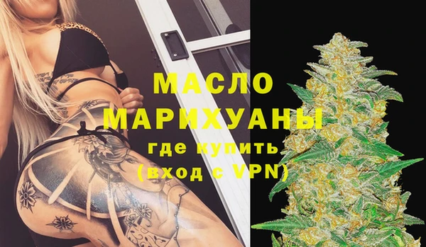 индика Краснотурьинск