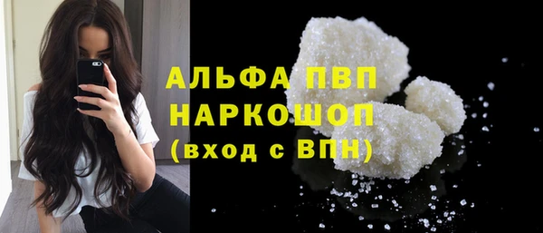 индика Краснотурьинск