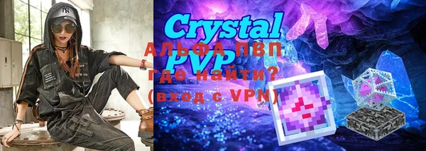 индика Краснотурьинск