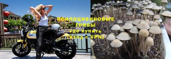 гидропоника Козловка