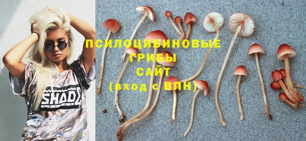 индика Краснотурьинск
