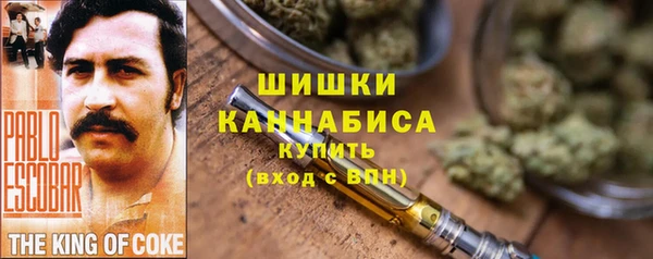 индика Краснотурьинск