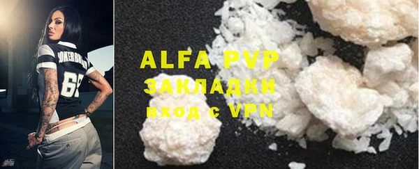 индика Краснотурьинск