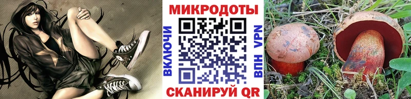 Галлюциногенные грибы Cubensis  купить   Кола 